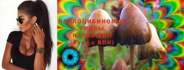 амф Горняк