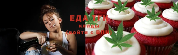 амф Горняк