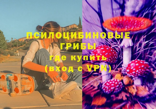 амф Горняк